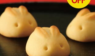 【20％OFF】USAGI SAN 10PCS